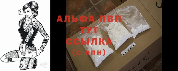 мяу мяу мука Абаза