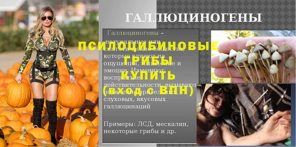 ПСИЛОЦИБИНОВЫЕ ГРИБЫ Абинск