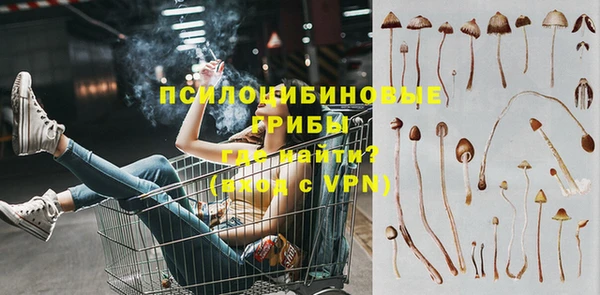 мяу мяу мука Абаза