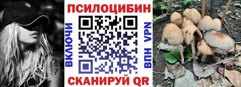 Псилоцибиновые грибы Psilocybe Иннополис